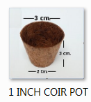 1 Inch Mini Coir Coco Pot