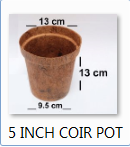 5 Inch Coir Pots