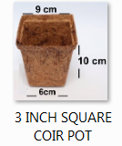 3.5 Inch  Square Coit Pot