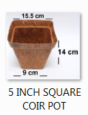 5 Inch Square Coir Pot