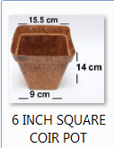 Coir America 6 Inch Square Coco Coir Pots